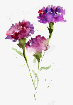 喷溅的鲜花紫色花卉高清图片