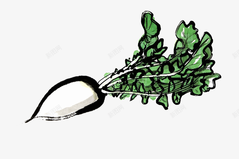 手绘白萝卜png免抠素材_新图网 https://ixintu.com 吃食 白萝卜 简约手绘 美食 美食涂鸦 萝卜叶 蔬菜 食材 食物