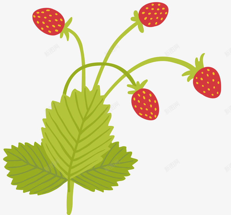 一棵草莓树矢量图ai免抠素材_新图网 https://ixintu.com 水果 水果蔬菜 矢量素材 绿色 草莓 矢量图