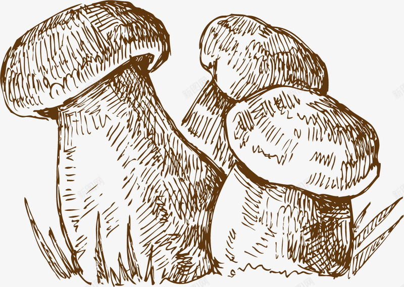 蘑菇手绘素描矢量图ai免抠素材_新图网 https://ixintu.com 平面设计 手绘 素描 蔬菜 蘑菇 矢量图