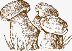 蘑菇手绘素描矢量图素材