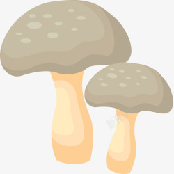 杏鲍菇真菌手绘蘑菇高清图片