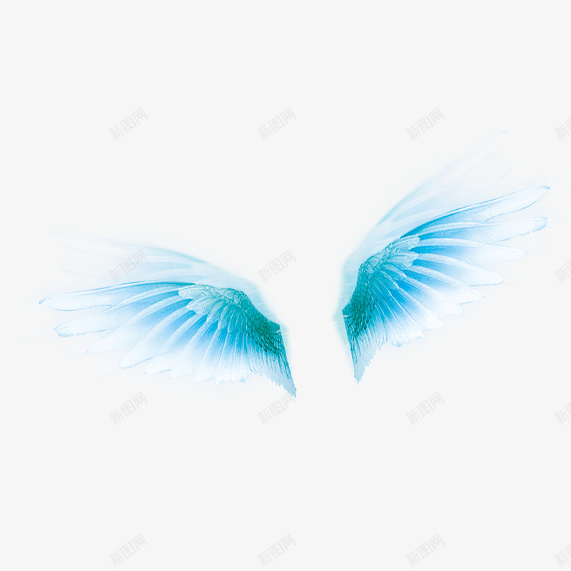 漂亮的翅膀png免抠素材_新图网 https://ixintu.com 图案 效果 标签 海报 翅膀 节日 装饰