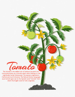 树叶蔬菜绿色西红柿矢量图高清图片