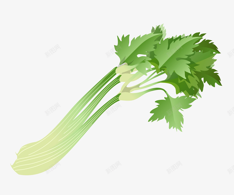 芹菜叶子png免抠素材_新图网 https://ixintu.com 叶子 图案 绿色蔬菜 菜叶 蔬菜叶