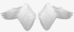 白色精灵翅膀白色翅膀天使精灵装饰高清图片