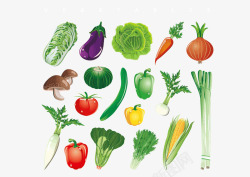 各种各样蔬菜矢量图素材