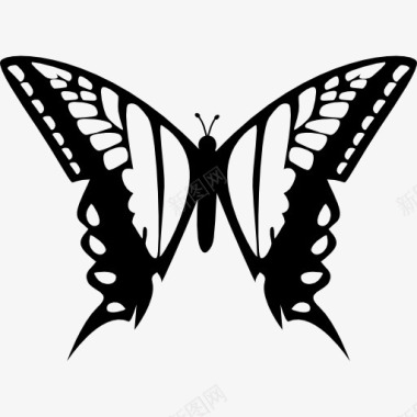 蝴蝶的两大翅膀从顶视图图标图标