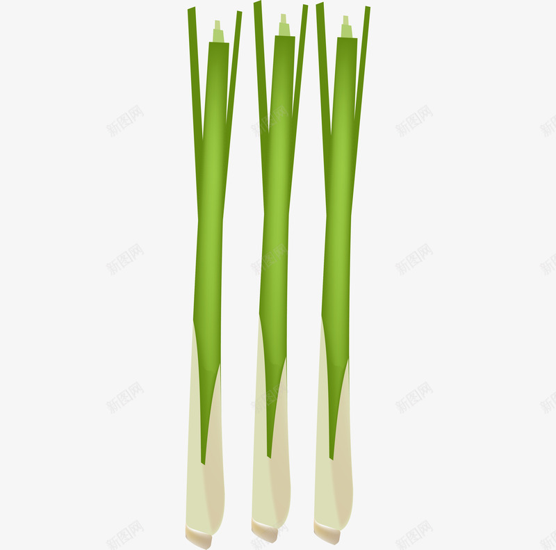 三根绿色的大葱png免抠素材_新图网 https://ixintu.com 一捆 作料 卡通手绘 大葱 蔬菜 装饰图 食材 食物