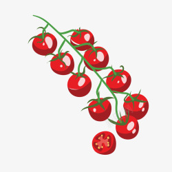一串小番茄图小番茄手绘创意图矢量图高清图片