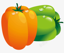 橘黄色的食物两个彩色辣椒矢量图高清图片
