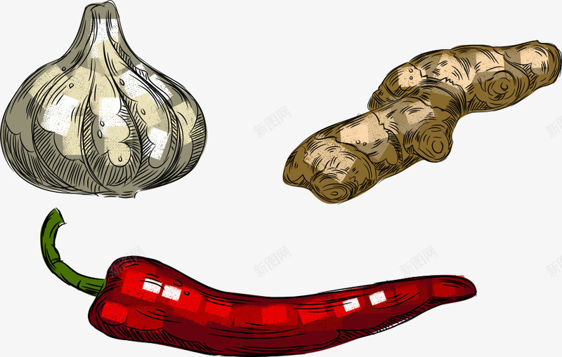 佐料png免抠素材_新图网 https://ixintu.com 卡通蔬菜 大蒜 姜 手绘蔬菜 矢量蔬菜 红辣椒 蔬菜