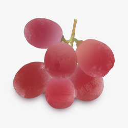 葡萄水果元素素材