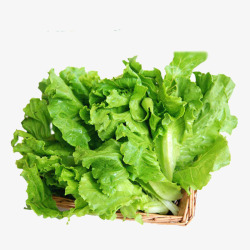 绿色食品免费png一篮子生菜高清图片