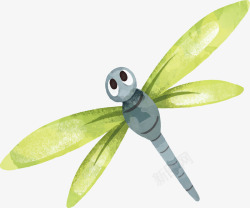 绿色翅膀的蜻蜓素材