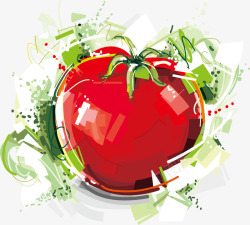 手绘红番茄红番茄矢量图高清图片