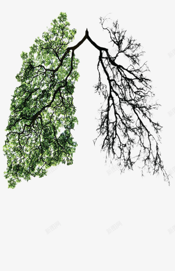 创意插画绿色植被是地球之肺png免抠素材_新图网 https://ixintu.com 创意插画 环保 肺 装饰元素