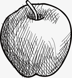 素描苹果矢量图素材
