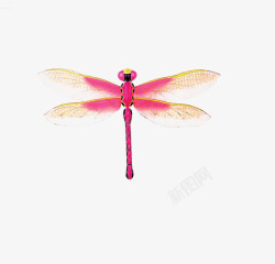 免抠素材红蜻蜓粉红色的蜻蜓高清图片