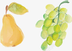 巨峰葡萄水彩插画手绘水果矢量图高清图片
