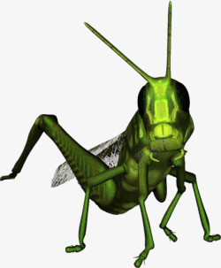 绿色蚂蚱卡通手绘昆虫高清图片