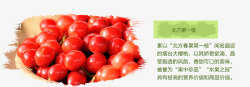 大樱桃素材