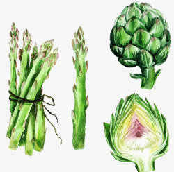 卡通芦笋卡通手绘水彩绿色蔬菜芦笋笋头高清图片