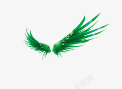 绿色植物翅膀绿色植物翅膀高清图片