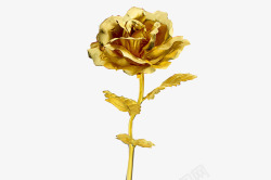 竖直的金箔玫瑰素材
