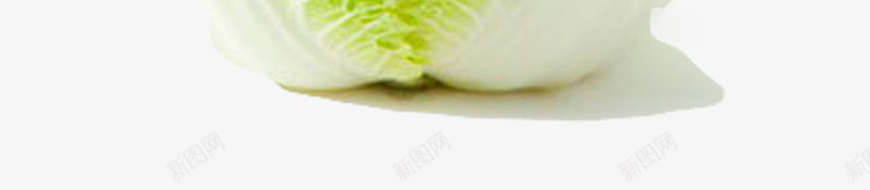 新鲜白菜png免抠素材_新图网 https://ixintu.com 新鲜 白色 蔬菜 青色