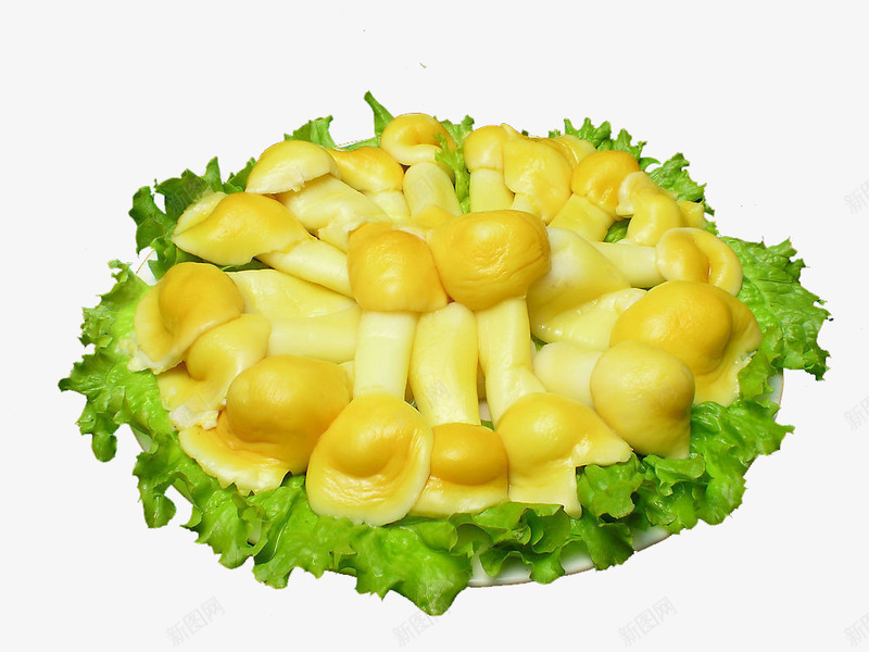 松茸蘑png免抠素材_新图网 https://ixintu.com 原料 生菜 盘子 素材 蔬菜 蘑菇 食物 食物原料 餐饮美食 香菇