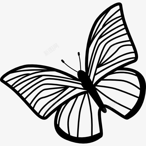 蝴蝶的翅膀薄条纹旋转到左图标png_新图网 https://ixintu.com 动物 昆虫 条纹 薄 蝴蝶 顶视图
