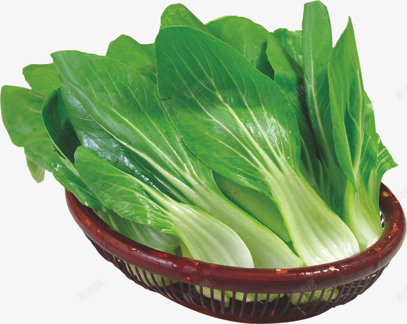 新鲜小白菜png免抠素材_新图网 https://ixintu.com 植物 绿色 绿色食物 蔬菜 青菜