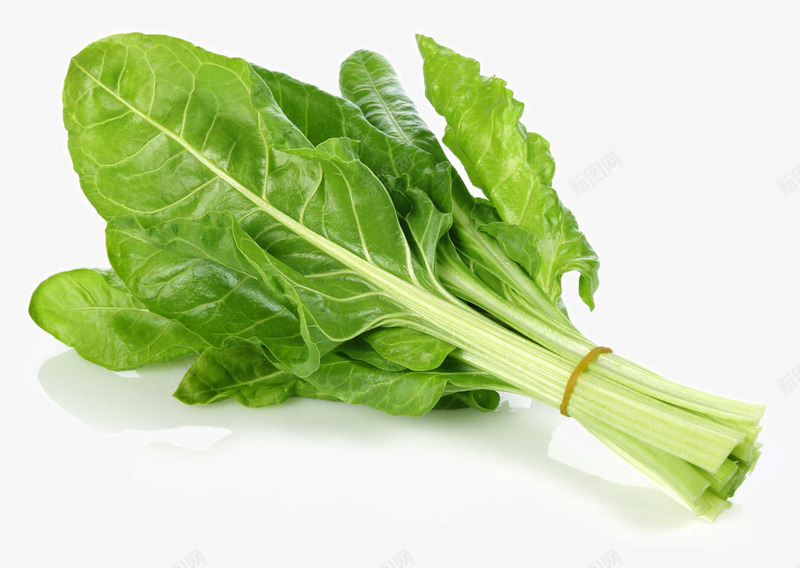 新鲜的蔬菜png免抠素材_新图网 https://ixintu.com 姜 新鲜的蔬菜 水果蔬菜 油菜 绿叶 绿色蔬菜 芹菜 菜类图片 菠菜