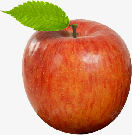 红色苹果绿叶装饰png免抠素材_新图网 https://ixintu.com 红色 绿叶 苹果 装饰