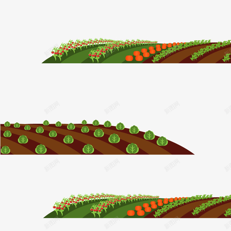 卡通田地蔬菜png免抠素材_新图网 https://ixintu.com 卡通 卡通蔬菜 田地 蔬菜 蔬菜卡通