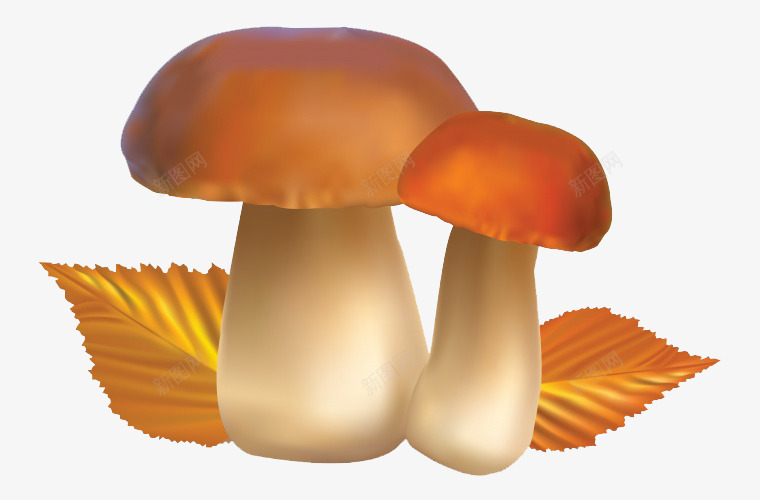 卡通蘑菇png免抠素材_新图网 https://ixintu.com 草菇 菇子 菌类 菌菇 蔬菜 蘑菇 食物 食用菌 香菇
