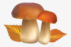 菇子卡通蘑菇高清图片