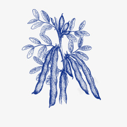 根茎食物手绘豌豆矢量图高清图片