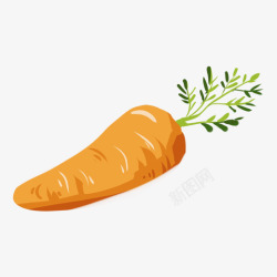 橙色创意胡萝卜食物元素素材