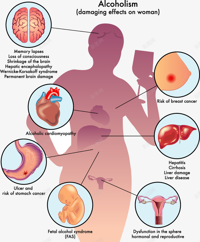 女性身体部位伤害影响分析图png免抠素材_新图网 https://ixintu.com 医学研究 女性 装饰