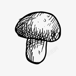 蘑菇手绘线稿素材