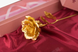 红色绸布上的金箔玫瑰素材