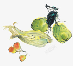 水彩大白菜手绘水彩蔬菜水果玉米樱桃大白菜高清图片