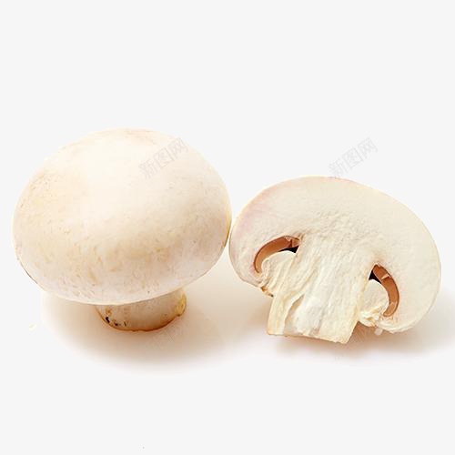 切开的口菇png免抠素材_新图网 https://ixintu.com 产品实物 菌菇 蔬菜 蘑菇