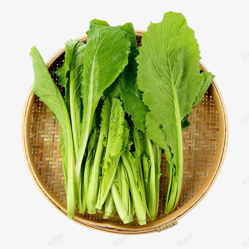 蔬菜png免抠素材_新图网 https://ixintu.com 产品实物 小白菜 有机蔬菜 白菜 绿叶 绿色蔬菜 菜类图片