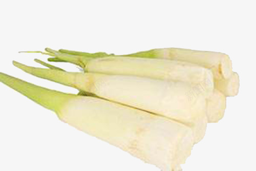 茭白实物png免抠素材_新图网 https://ixintu.com 剥开的茭白 可食用 白绿色 茭白 蔬菜