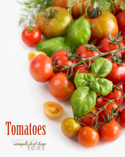新鲜小番茄新鲜的小番茄高清图片