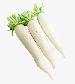 蔬菜白色萝卜素材