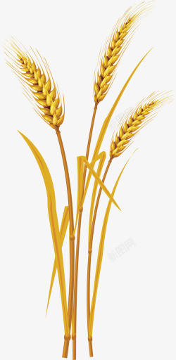 一片小麦地手绘小麦地高清图片